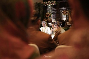 Thepotomoto Photography 6 (Medium)