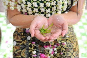 Sumber : Thepotomoto Photography