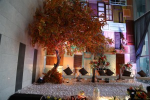 Sumber : Thepotomoto Photography