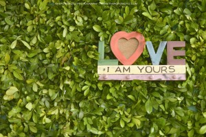 Sumber : Thepotomoto Photography