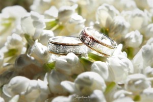 Sumber : Thepotomoto Photography