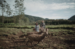 Screen Shot 2016-06-08 at 9.57.49 AM