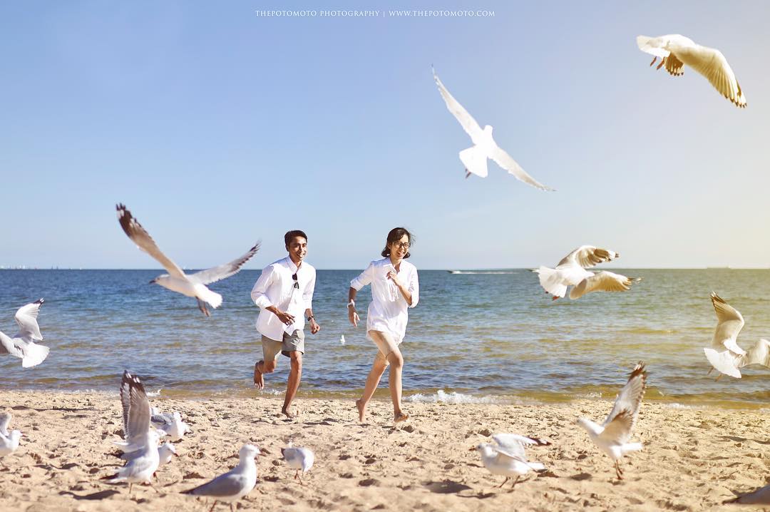 14262887_334018813610998_672754071_n