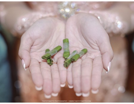 Prosesi Pernikahan Adat Jawa