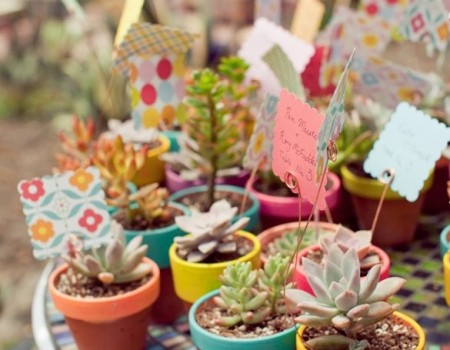 5 Ragam Pilihan Souvenir Wedding Outdoor