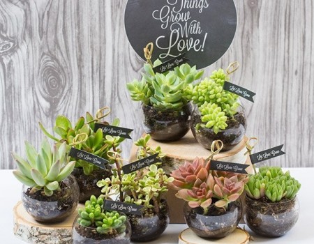 Siapkan Ide Souvenir Pernikahan Lucu Ini Tanpa Harus Dengan Budget Selangit