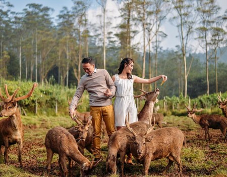 Relationship Tips : Cara Romantis Merayakan Natal Bersama Pasangan