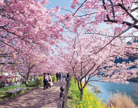 4 Alasan Kenapa Harus Foto Prewedding Di Jepang. Ini Alasan Sebenarnya!
