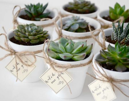 6 Souvenir Pernikahan yang Diprediksi Akan Tren di 2020