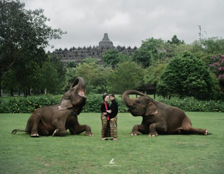 Tesya dan Irvan: Konsep Pre wedding Unik Bersama Gajah